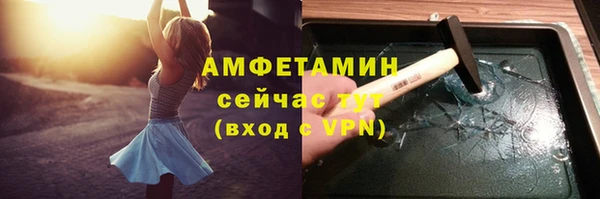 прущие грибы Белокуриха