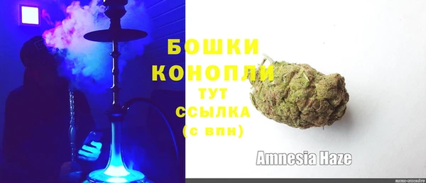 прущие грибы Белокуриха