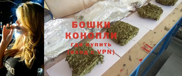 прущие грибы Белокуриха