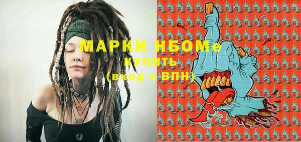 прущие грибы Белокуриха