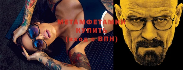 прущие грибы Белокуриха