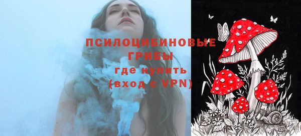 прущие грибы Белокуриха