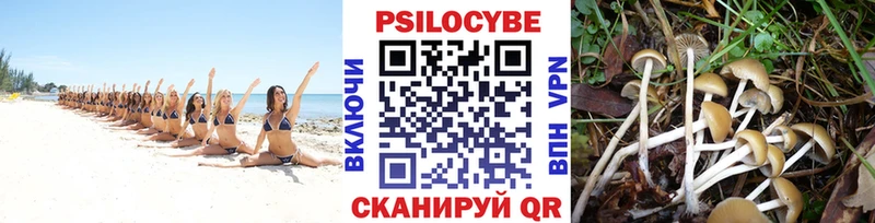 что такое наркотик  Сердобск  Галлюциногенные грибы MAGIC MUSHROOMS 