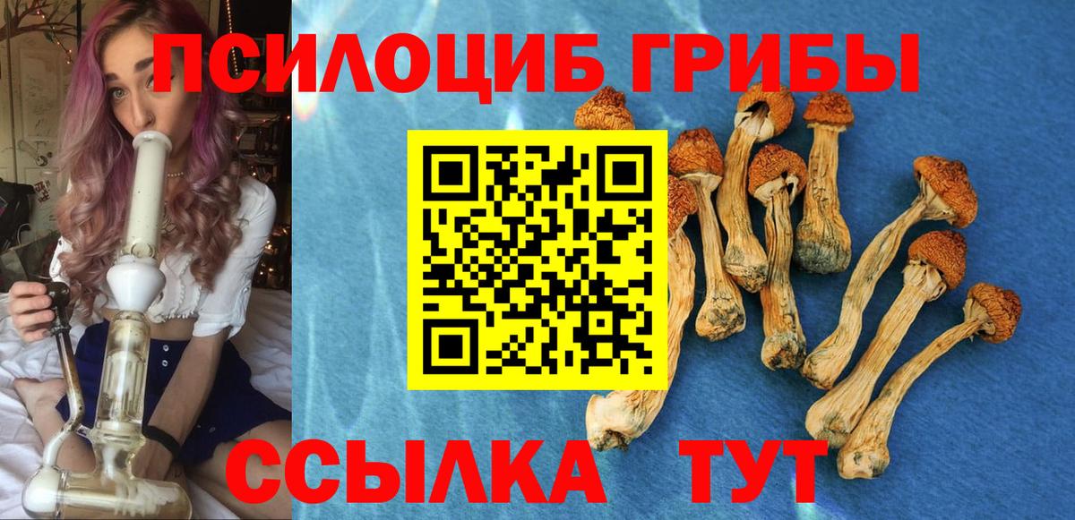 Псилоцибиновые грибы ЛСД  Вход с VPN  Сердобск 